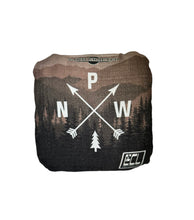 Load image into Gallery viewer, Premade Pro Cornhole Bags