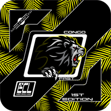 Load image into Gallery viewer, Congo Cornhole Bags